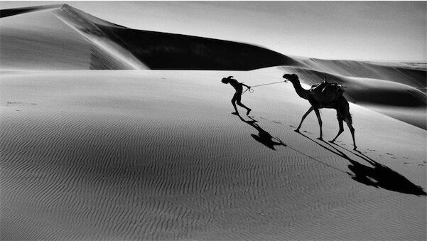 Visuel de Un homme sans l'Occident