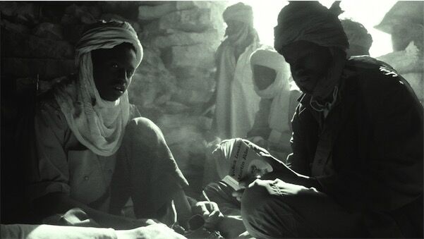 Visuel de Tibesti Too