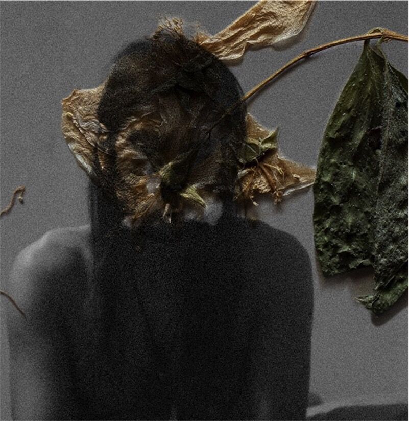 Réalisateur Abo Kaseem Ameen